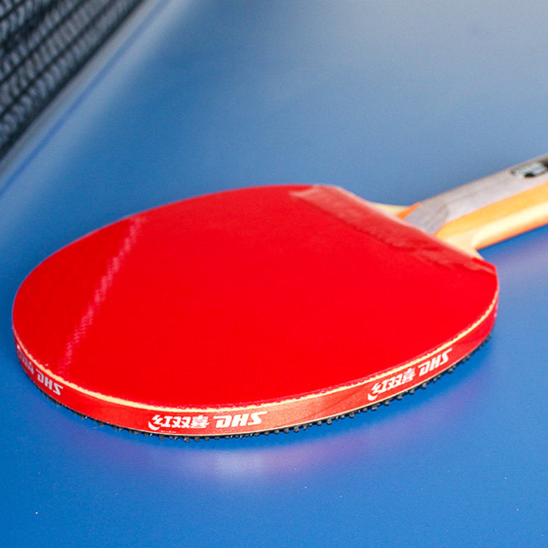 DHS Selbstklebendes Tischtenni – Table Tennis Barrier Bewertung und Preis