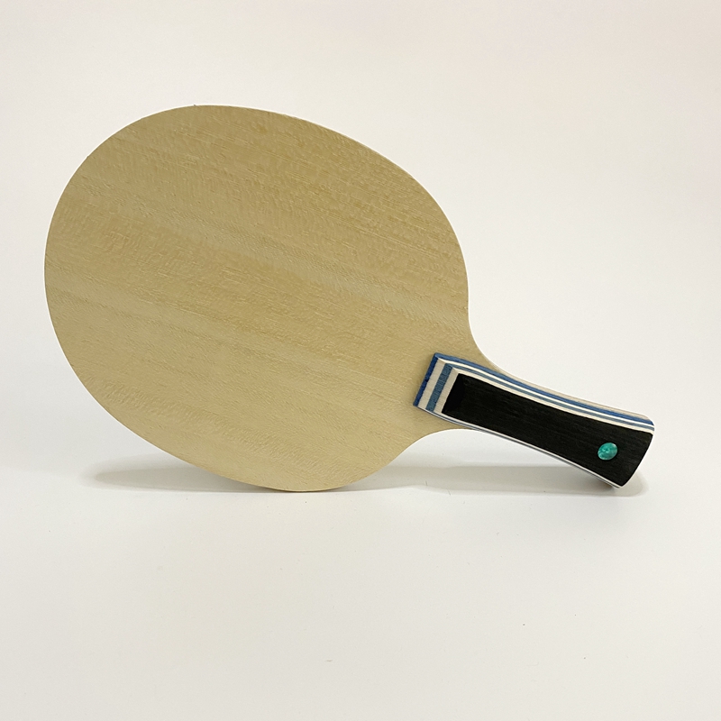 Lemuria VIS Carbonfaser Tischt – Table Tennis Zlc Bewertung und Preis