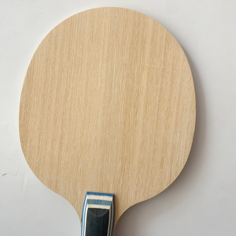 Lemuria VIS Carbonfaser Tischt – Table Tennis Zlc Bewertung und Preis