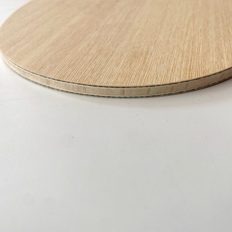 Lemuria VIS Carbonfaser Tischt – Table Tennis Zlc Bewertung und Preis