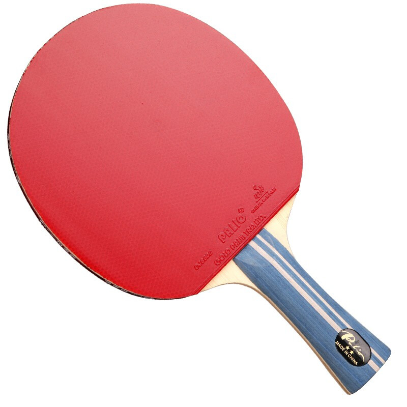 Original PALIO 2-Sterne-Tischt – Table Tennis Backhand Bewertung und Preis