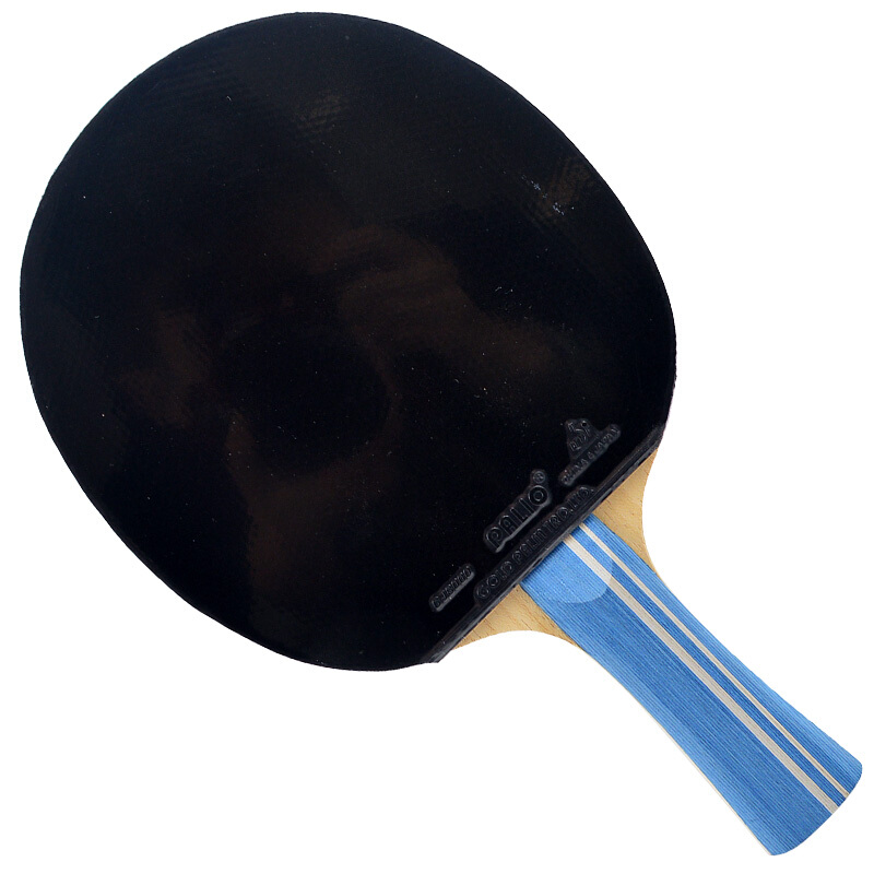 Original PALIO 2-Sterne-Tischt – Table Tennis Backhand Bewertung und Preis