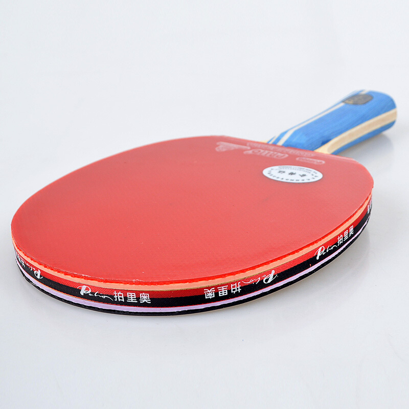Original PALIO 2-Sterne-Tischt – Table Tennis Backhand Bewertung und Preis
