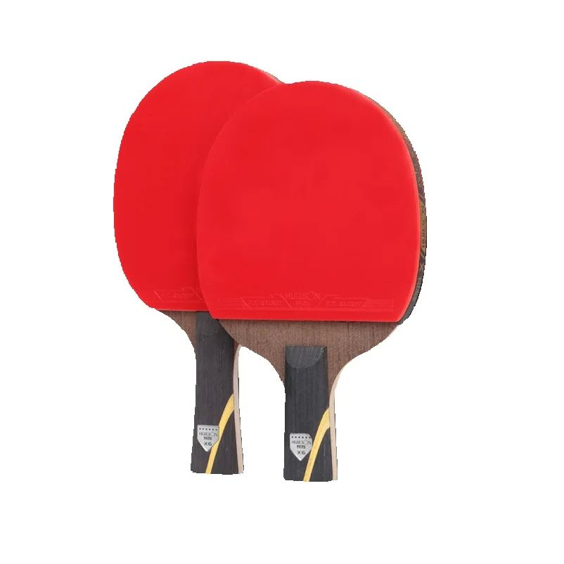 (2 Stück/Paar) Huieson Tischte – Table Tennis Hub Bewertung und Preis
