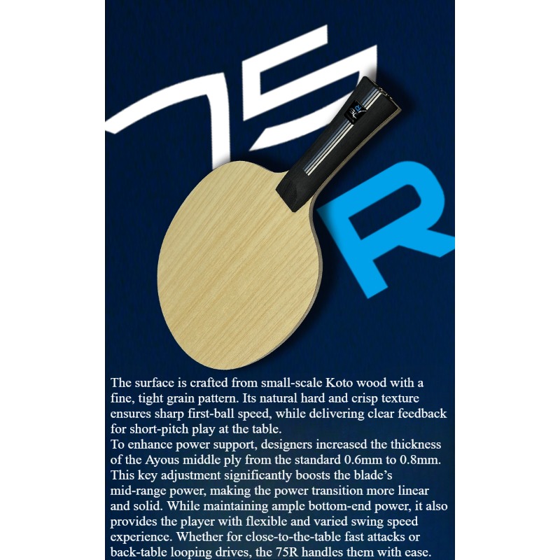 SANWEI 75R 5+2 Outer H-GLC Tis – Table Tennis Blade Bewertung und Preis